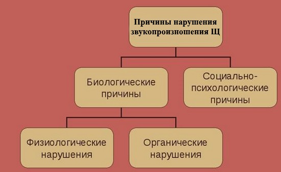Причины нарушения произношения звука щ