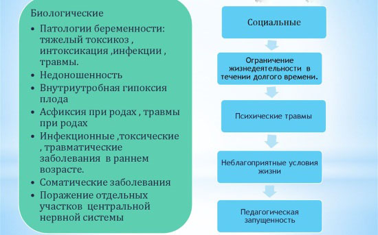 Биологические и социальные причины ЗРР