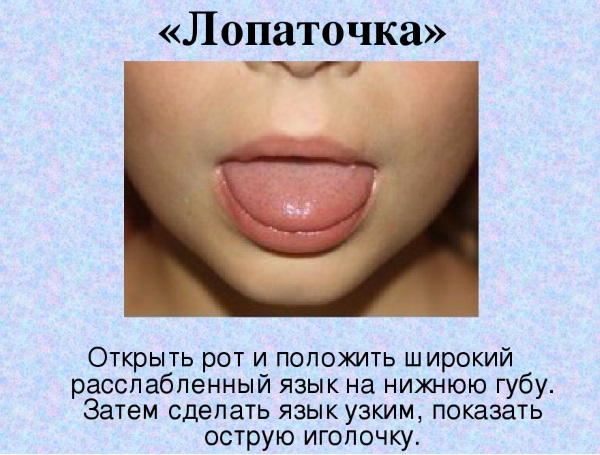 Артикуляционное упражнение "Лопаточка"