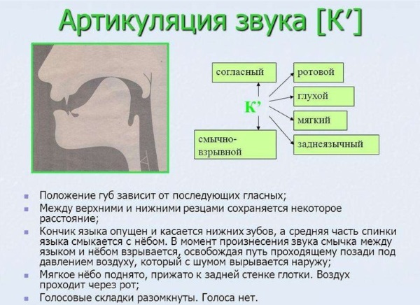 Артикуляция звука к