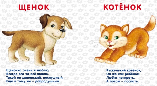 Четверостишия про животных