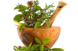 Фитотерапия Фитотерапия