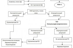 Алгоритм диагностики и лечения Алгоритм диагностики и лечения