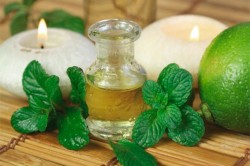 Аллергия на эфирное масло мяты Аллергия на эфирное масло мяты