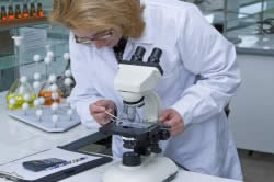 Анализ биопсии рака простаты Анализ биопсии рака простаты