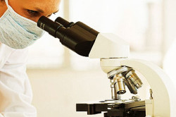 Анализ эякулянта Анализ эякулянта