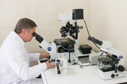 Анализ спермограммы Анализ спермограммы