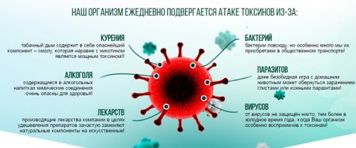 Воздействие токсинов на организм Воздействие токсинов на организм