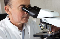 Лечение гематурии Лечение гематурии