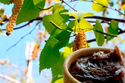 Березовый деготь Березовый деготь