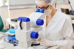 Биохимический анализ крови Биохимический анализ крови