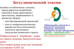 Ботулинический токсин Ботулинический токсин