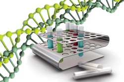 ДНК-диагностика