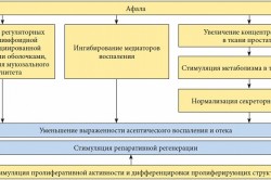 Действие Афалы Действие Афалы