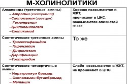 Действие М-холинолитиков