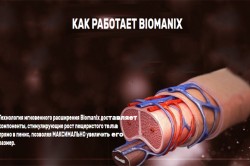 Действие препарата Действие препарата