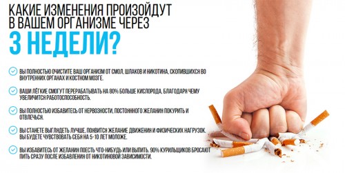 Действие Puer Combo Действие Puer Combo