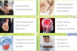 Действие сбитня Действие сбитня