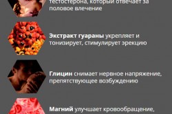 Действующие вещества спрея Действующие вещества спрея