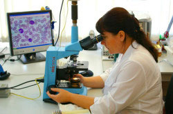 Лабораторные исследования крови Лабораторные исследования крови