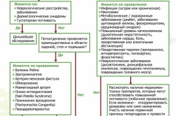 Диагностика гипергидроза Диагностика гипергидроза