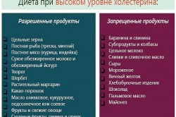 Диета при повышенном холестерине Диета при повышенном холестерине