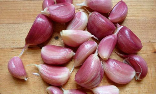 Полезные свойства чеснока Полезные свойства чеснока