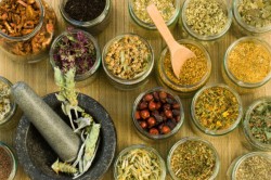 Фитотерапия для повышения либидо Фитотерапия для повышения либидо