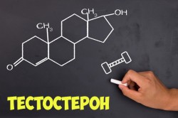 Гормон тестостерон Гормон тестостерон