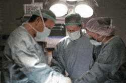 Хирургическое лечение гинекомастии Хирургическое лечение гинекомастии