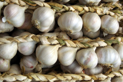 Польза чеснока для организма Польза чеснока для организма