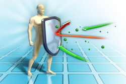 Иммунная система органазма Иммунная система органазма