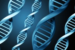 Иммунодефициты Иммунодефициты