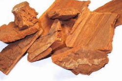 Кора йохимбе