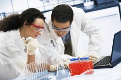 Исследования ученых Исследования ученых