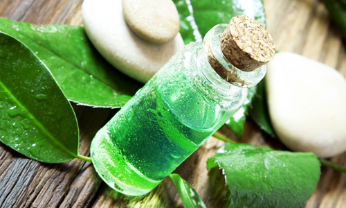 Эфирное масло чайного дерева Эфирное масло чайного дерева