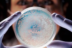 Исследование мужской семенной жидкости