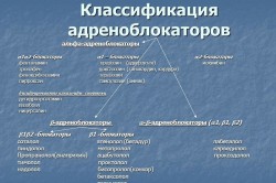 Классификация адреноблокаторов Классификация адреноблокаторов