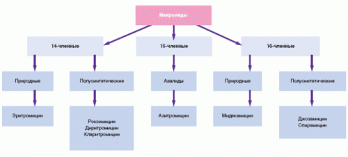 Классификация макролидов Классификация макролидов