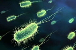 Инфекция Инфекция