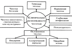 Клинические разновидности чесотки