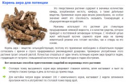 Корень аира для потенции Корень аира для потенции
