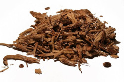 Корень цикория Корень цикория