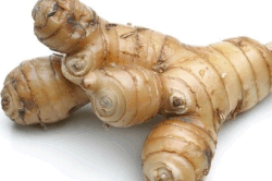 Корень калгана для лечения импотенции Корень калгана для лечения импотенции