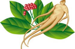 Корень женьшеня - натуральный возбудитель Корень женьшеня - натуральный возбудитель