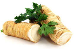 Корни хрена для лечения уретрита Корни хрена для лечения уретрита