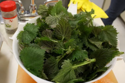 Крапива от седины