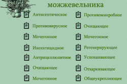 Лечебные свойства можжевельника Лечебные свойства можжевельника