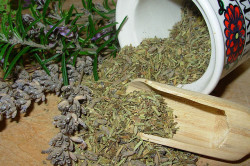 Лечение простатита травяными сборами Лечение простатита травяными сборами