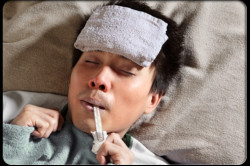 Лихорадка Лихорадка